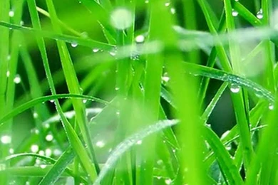 Samsung Galaxy S3 Wallpapers