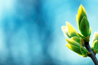 Calming Wallpapers » FullHDWpp   Full HD Wallpapers 1920x1080