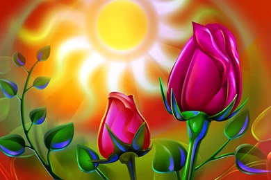 Laptop_Wallpapers_2012 13.jpg