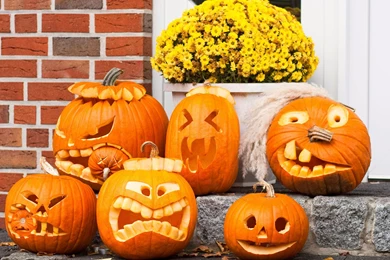 Funny Halloween Pumpkins Wallpapers