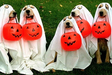 Halloween Medical Quotes. QuotesGram