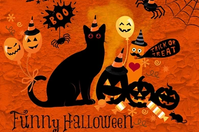 Cats: Funny Halloween Spider Cats Party Boo Rat Eve Trick Treat ...