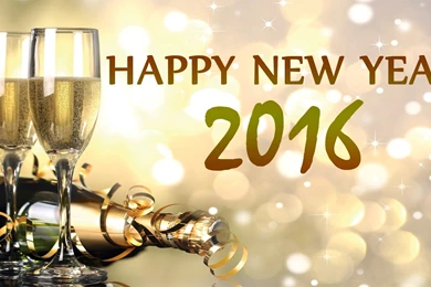 Happy New Year 2016 Champagne Bottle And Bear Glass Desktop ...