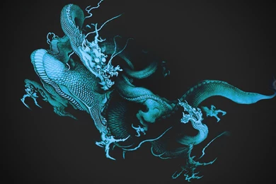 Black Dragons On The Black Backgrounds Wallpapers HD / Desktop And ...