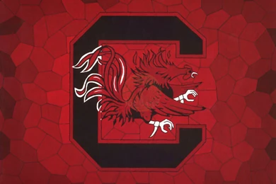 1365x1024px South Carolina Gamecocks