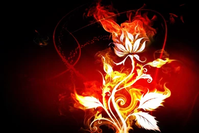 Cool Tribal Wallpapers   HD Wallpapers Pretty