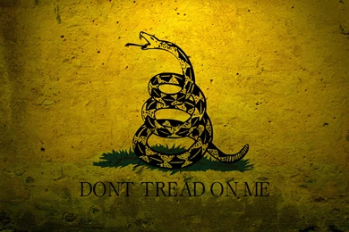 Most Libertarians Do Not Identify With The Tea Party – Rare