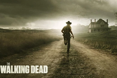 Walking Dead HD Wallpapers