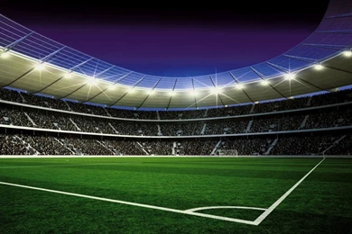 Gators Football Wallpapers – 1600×1200 High Definition Wallpapers ...