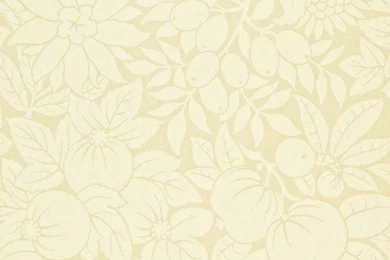 Copacabana Wallpapers   Cream (DOPWCP103)   Sanderson Options 10 ...