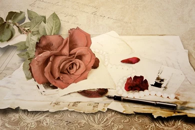 1366x768 Rose Love Letter Wallpapers