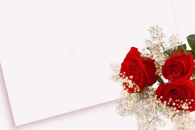 Love Letter With Red Rose