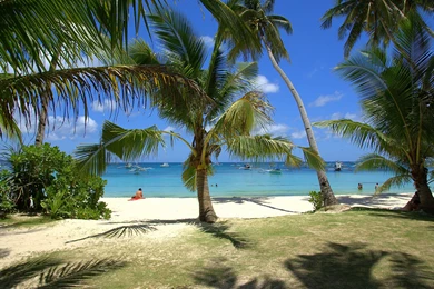 Tropical Beaches Wallpaper, Tropical Island Sceneries, Tropical ...