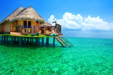 Cool Nature Photos, Nature Wallpapers For Samsung, Green, Plants ...