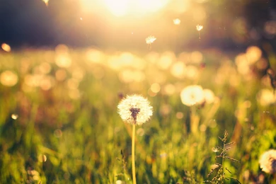 Amazing Views, Cool Nature Photos, Nature Wallpapers For Samsung ...