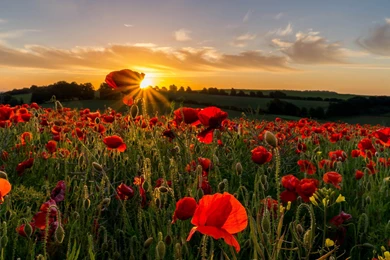 Amazing Views, Cool Nature Photos, Nature Wallpapers For Samsung ...