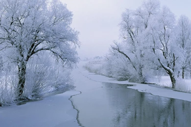 Frozen Lake And Snowy Scenery HD Wallpapers