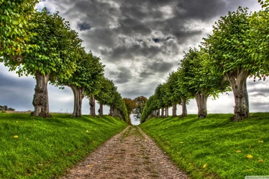 Country Road HD Wallpapers