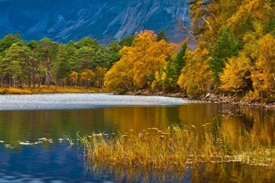 England Forest Lake Scenery iPhone Wallpapers