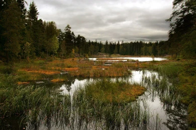 Hd Lake Scenery   HD Wallpapers Widescreen   1920x1080