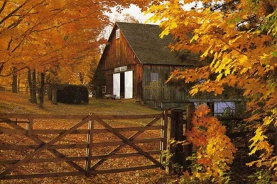 Free Thanksgiving PowerPoint Backgrounds Download