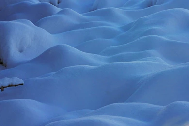 Medallion Iced Up, Rolex Bezelled Up