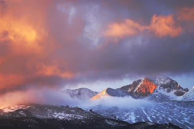 Medallion Iced Up, Rolex Bezelled Up