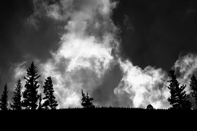 Medallion Iced Up, Rolex Bezelled Up