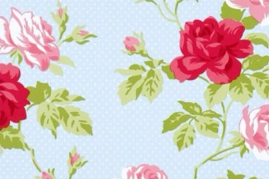 Rose Pink Nation Wallpapers