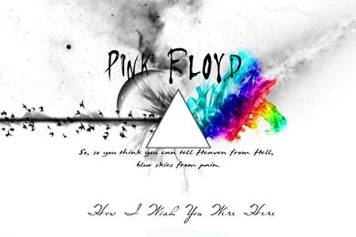 Theme Pink Vs Black : Desktop And Mobile Wallpapers : Wallippo