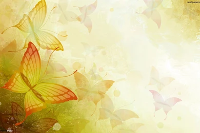 1508) Yellow Butterfly Desktop Wallpapers   WalOps.com
