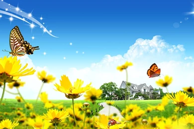 1583) Yellow Butterfly Wallpapers Design   WalOps.com