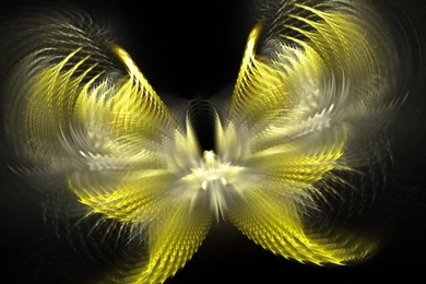 1544) Yellow Butterfly Best Wallpapers   WalOps.com