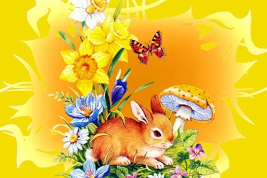 Other: Cute Rabbit Butterfly Bunny Mushroom Animals Wildlife ...