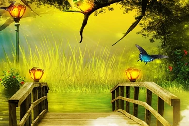 Butterflies   Yorkshire_rose Wallpapers (15990927)   Fanpop