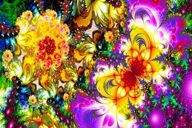 The Yellow Butterfly Wallpaper,sparkling HD Wallpaper,abstract HD ...