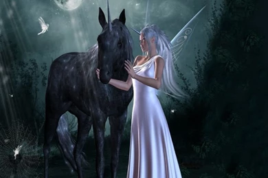 Image Detail For Fairy And The Unicorn Fairies Wallpapers ...