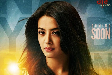 Hero Naam Yaad Rakhi 2015 Hindi Movie HD Wallpapers ...