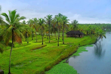 Kerala Nature Pictures   Widescreen HD Wallpapers