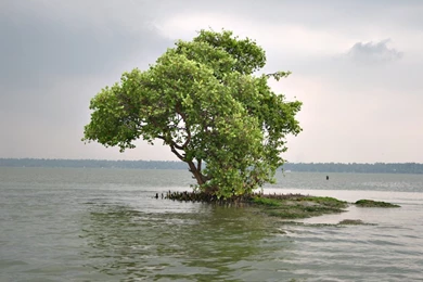 Wallpapers Of Kerala's Nature.