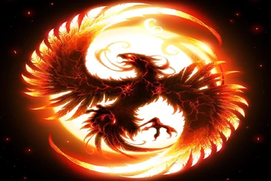 Fire Dragon Wallpapers High Resolution 1796   HD Wallpapers Site