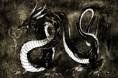 Chinese Dragon Wallpapers HD 11123   Pacify Mind