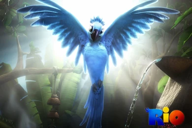 Animated Wallpapers HD HD Images New