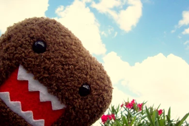 Domo, High, Definition, Wallpaper, For, Desktop, Backgrounds ...