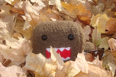 Domo, Wide, High, Definition, Wallpaper, Download, Domo, Images ...