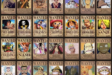 Monkey D Luffy Nami One Piece Nico Robin One Piece Anime Roronoa ...