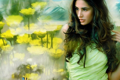 Nargis Fakhri   Biography, Wallpapers, Height, Age, Boyfriend, Wiki