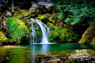 Cool Nature Wallpapers   Wallpapers Cave