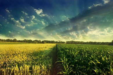 Cool Images Download   Wallpapers HD Wide