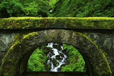 Pink Lily Flower Wallpaper Backgrounds : Flower Wallpapers   Kokean.com